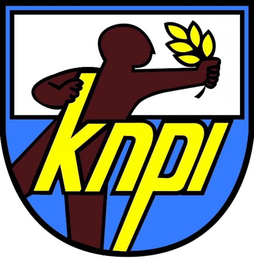 30logoKNPI2.jpg