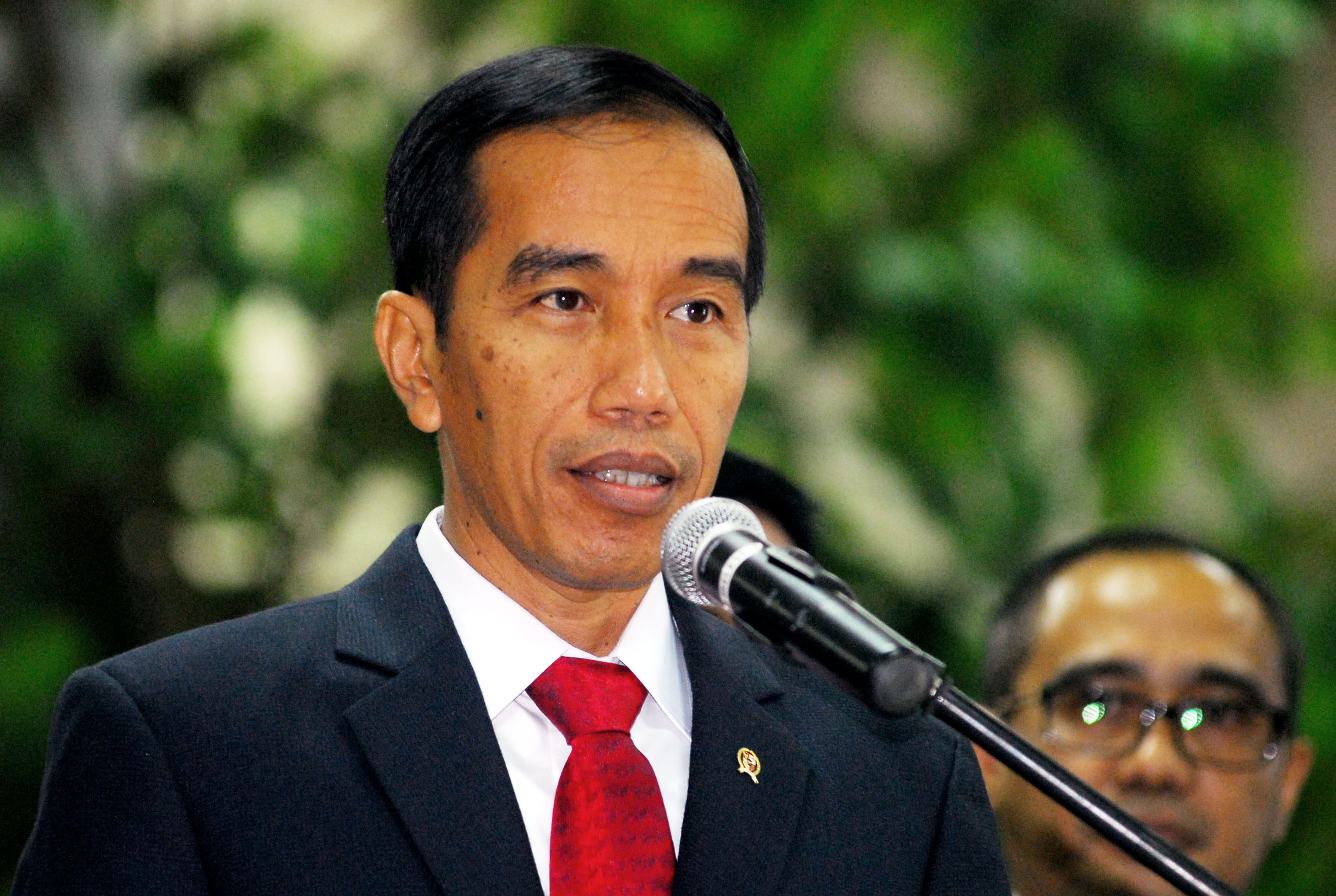 20Jokowi-indra.jpg