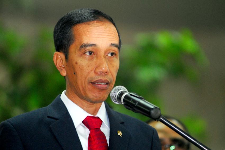 48jokowi-indra.jpg