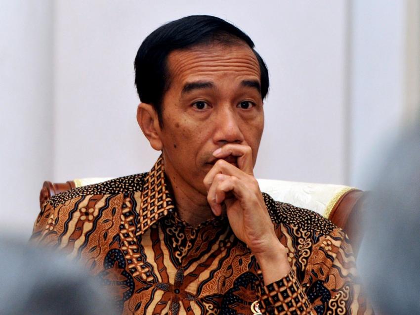 61Jokowidodo.jpg