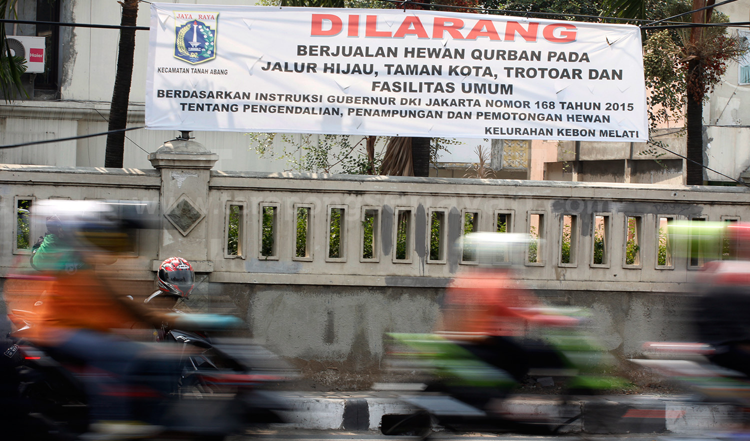 70LARANGAN_JUAL_KURBAN_PINGGIR_JALAN_2.jpg