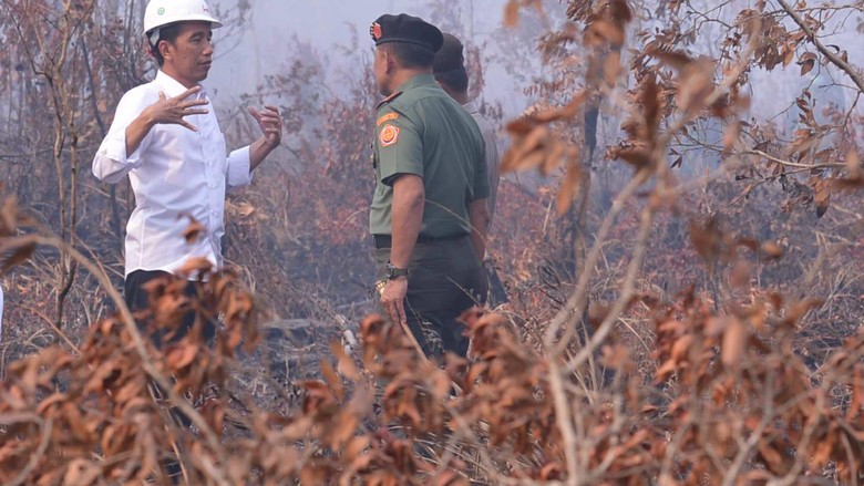 6jokowi_kebakaran_hutan.jpg