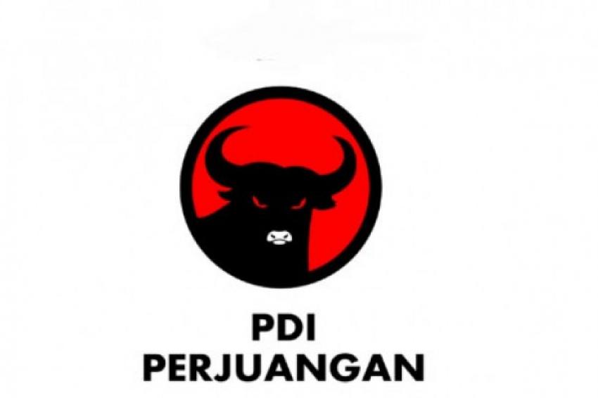 5pdip1.jpg