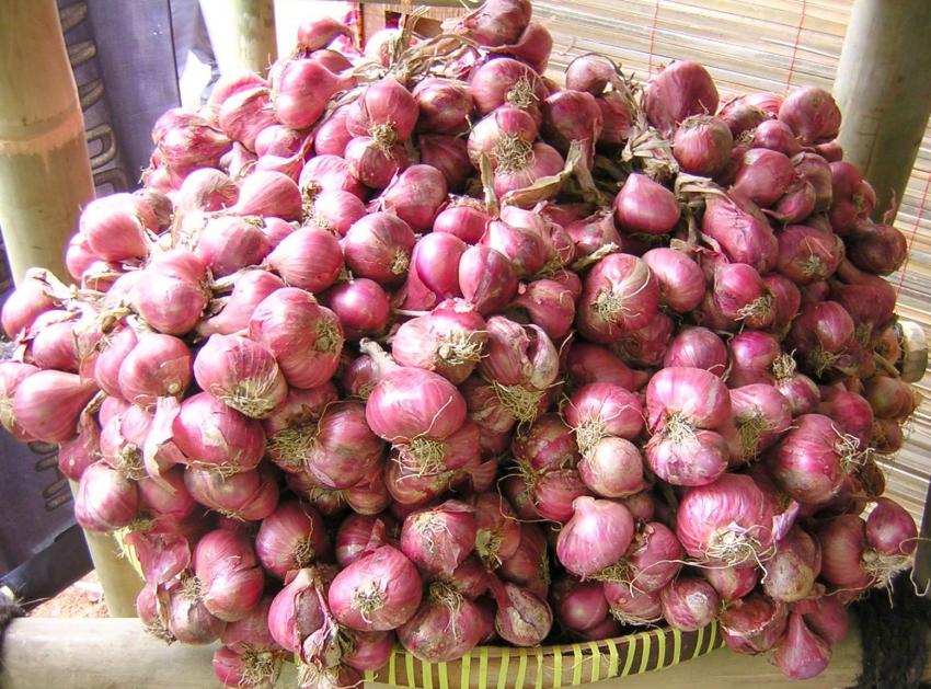 5bawang-merah.jpg