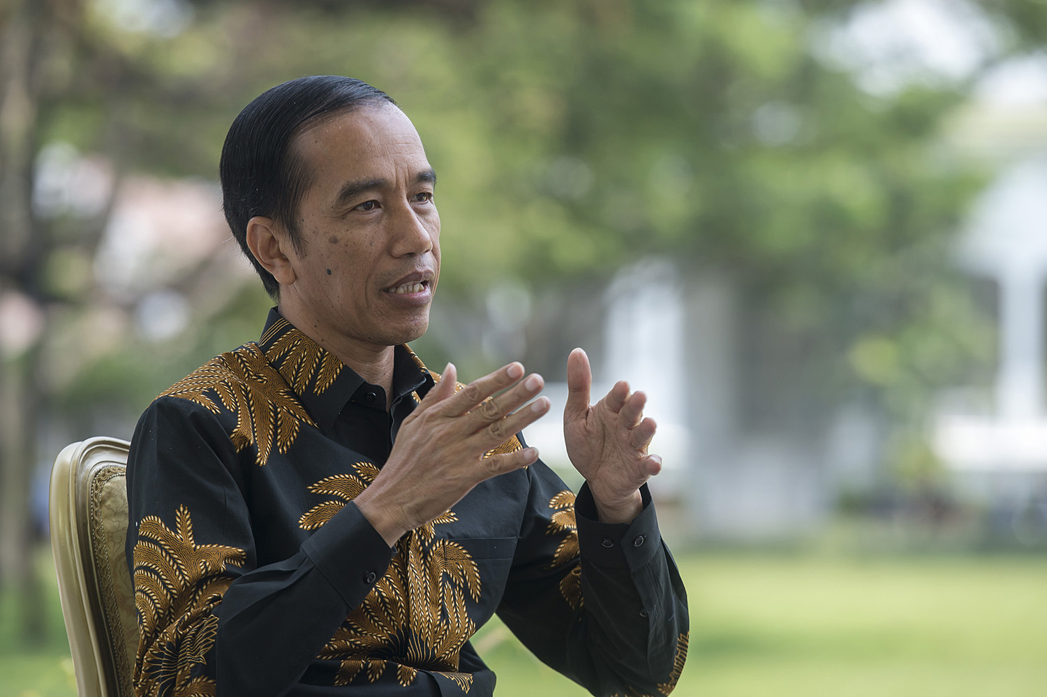 95jokowi-HD.jpg